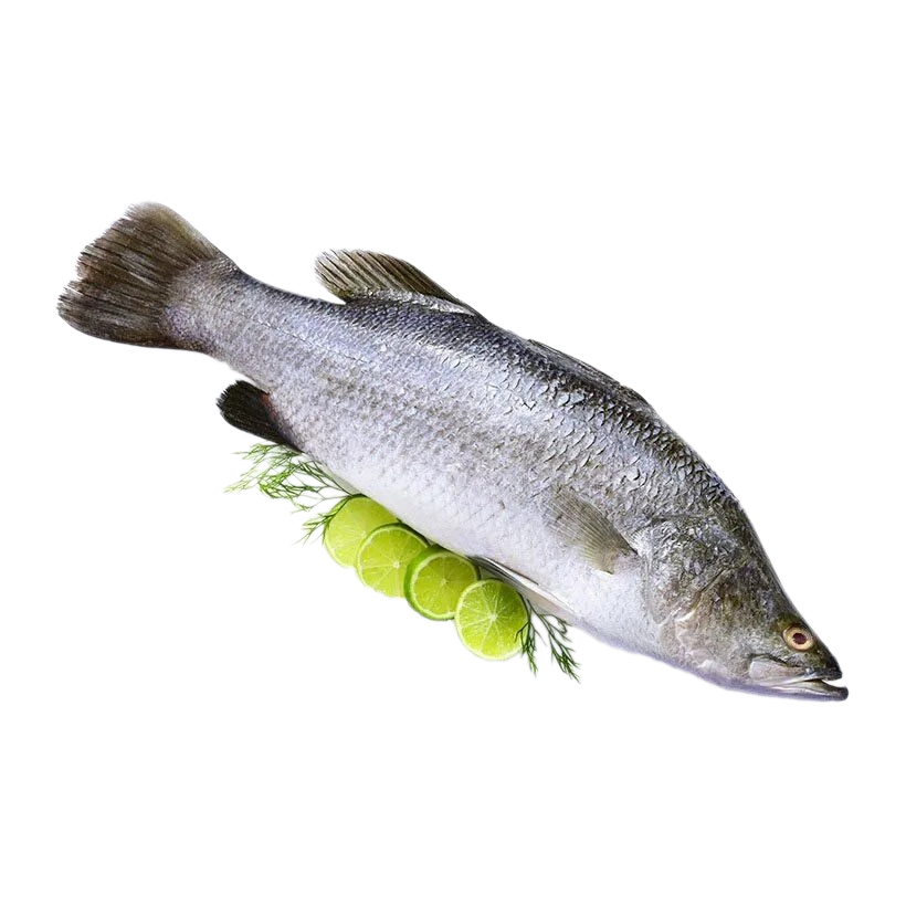 TK.Barramudi (Ca Chem )